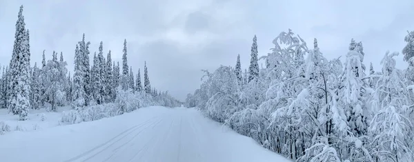 Vista desde el coche en la carretera cubierta de nieve y el bosque de coníferas congeladas en Arctic Circle —  Fotos de Stock