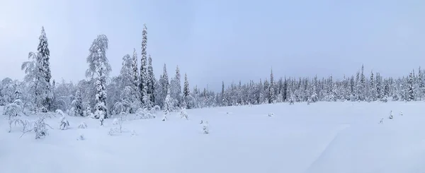 Noche polar congelante en tundra cubierta de heladas con bosque cubierto de nieve y carretera —  Fotos de Stock