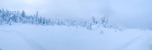 Amplio panorama de tundra cubierta de nieve congelada en el Ártico con rastros de moto de nieve —  Fotos de Stock