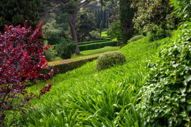 Güzel ağaçların arasındaki yeşil çimlerin manzarası