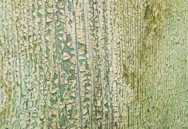 Yeşil boya rengi peeling ile eski ahşap yüzey