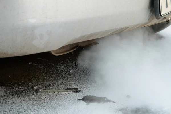 smoke car pipe exhaust  in freezing weather