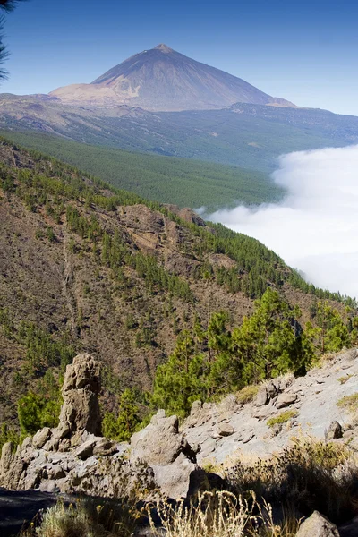Volkan teide Tenerife