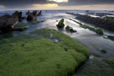 sunrise plajda Vizcaya