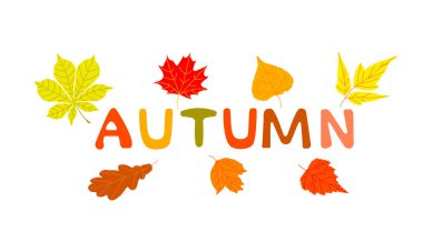 Sonbahar harfleri ile dekoratif tasarım kompozisyonu ve vektör düz illüstrasyon bırakır.