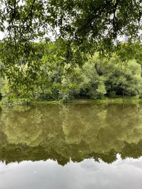 Parktaki güzel doğa.