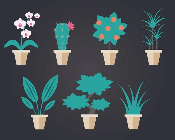 Ploché styl pokojové rostliny — Stockový vektor