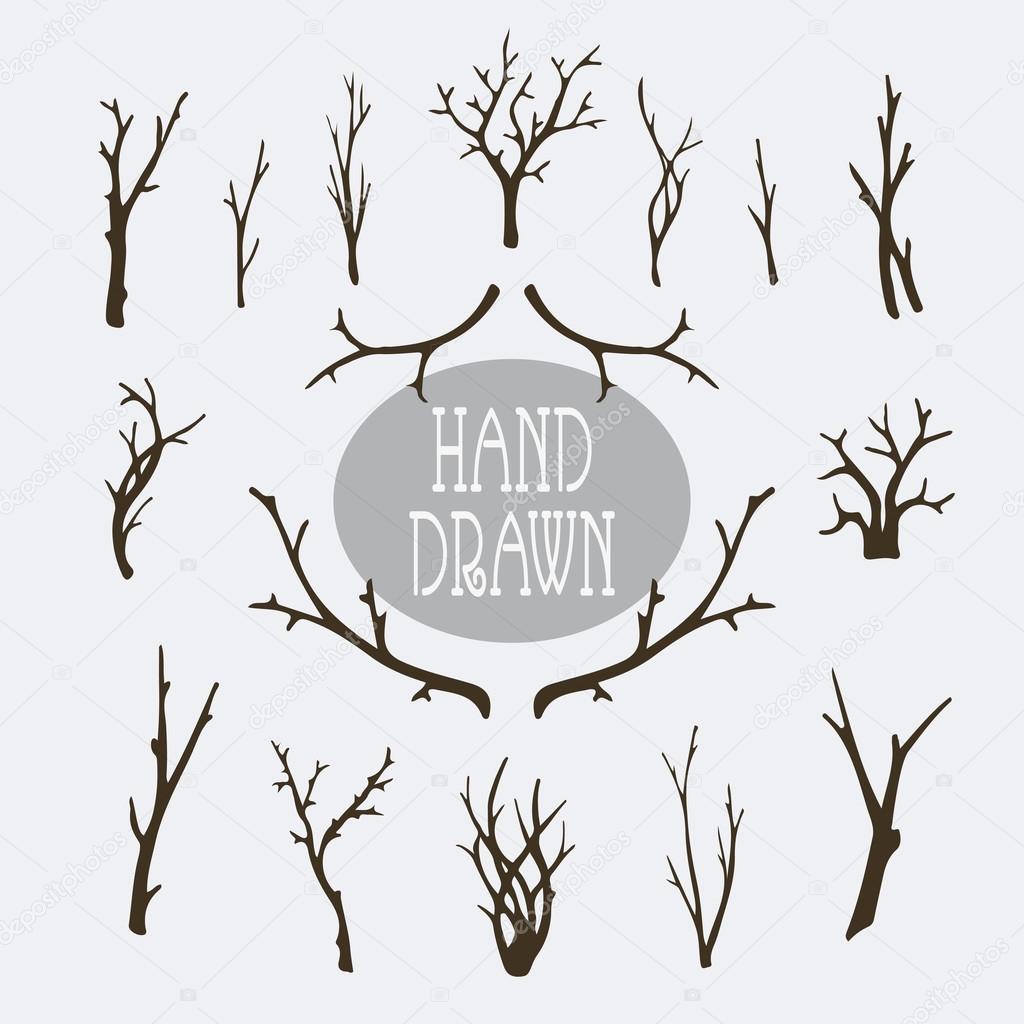 Hand drawn branches and trees