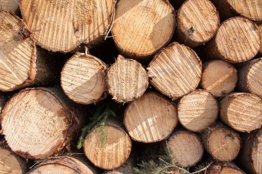 tahta kayıt arkaplanı