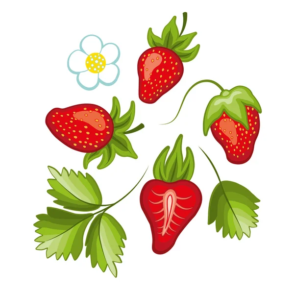 Conjunto de fresa dulce madura y flor con hojas. Vector . — Vector de stock