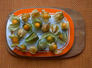 Cape bektaşi üzümü, physalis