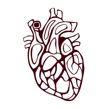 Ayrıntılı insan anatomisi siyah beyaz çizgi çizimi, tıbbi konsept, logo, baskı için ideal.