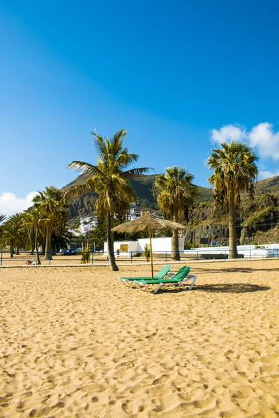 Листя пальмового дерева над розкішним пляжем — стокове фото