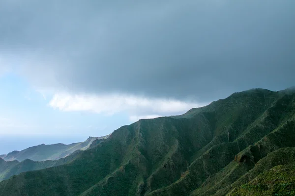 Century plant against Masca village and mountains, Tenerife, Canary islands, Spain — Stock Photo, Image