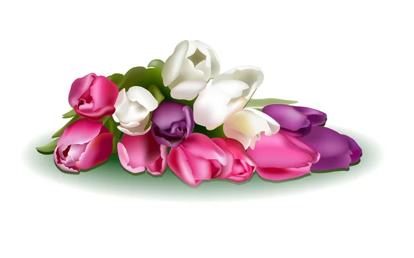Bouquet de tulipes — Image vectorielle