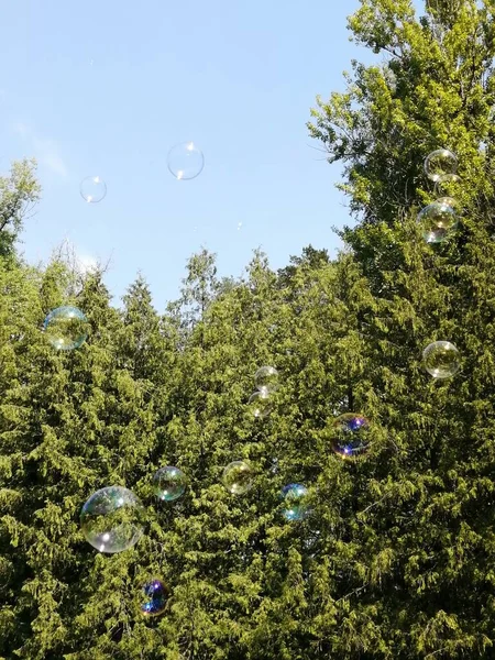 Doğa Denizi Okyanusu Güzel sahil Tayland