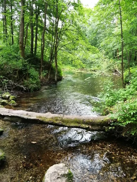 Doğa Denizi Okyanusu Güzel sahil Tayland