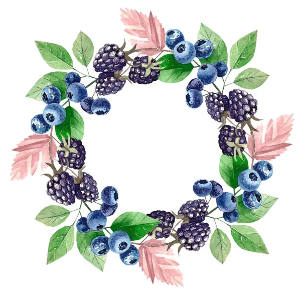 Berry Aquarel Frame Gemaakt Van Bramen Bosbessen Voor Logo Ontwerp — Stockfoto