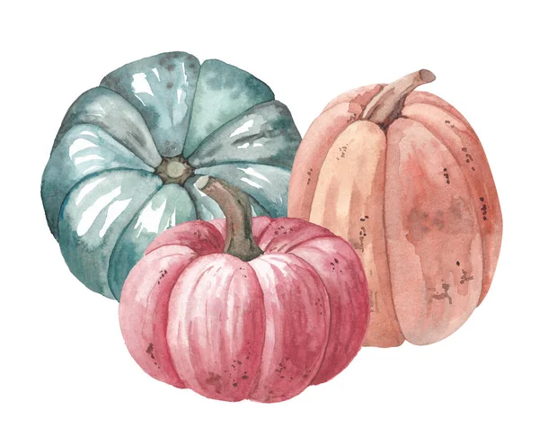 Calabazas Acuarela Otoño Ilustraciones Acuarela Otoño Con Hojas Flores Que — Foto de Stock