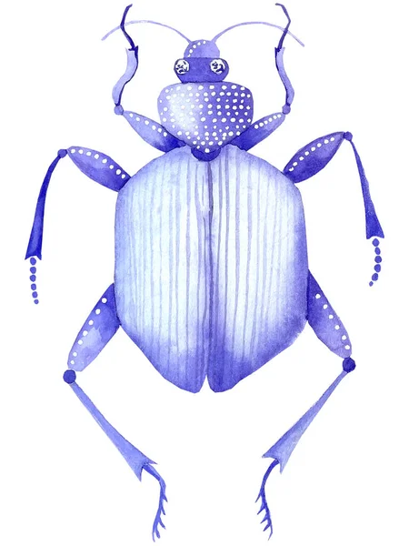Mor Suluboya Böceği Elle Yapılmış Beyaz Arka Planda Elle Çizilmiş — Stok fotoğraf