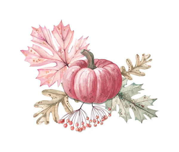 紅葉とカボチャの水彩画の秋の構図13 — ストック写真