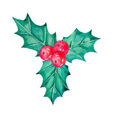 Şenlik ürünleri tasarımı için beyaz bir arkaplanda suluboya Noel kutsallığı dalı