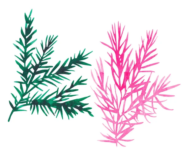 为设计新年及圣诞产品而手绘的绿色及粉红色针叶树枝水彩画 — 图库照片