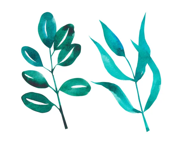 Akvarell Handritade Gröna Blommor För Produktdesign Semester Och Andra Evenemang — Stockfoto