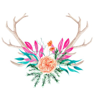 Watercolor horns with a penis-shaped rose and pine needles on a white background for the design of New Year and Christmas products