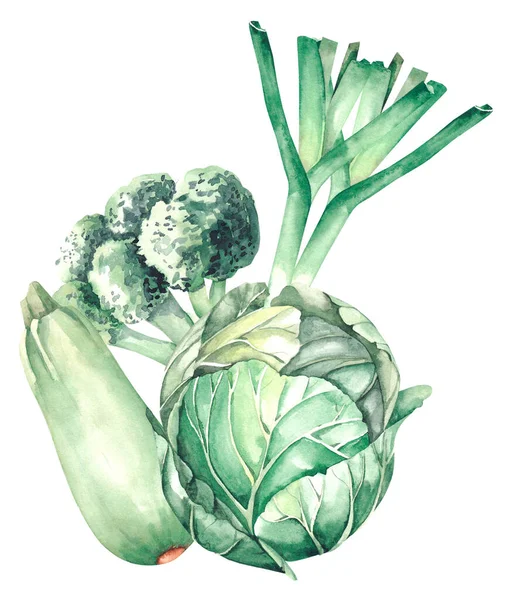 Akvarell Gröna Grönsaker Lök Kål Broccoli Zucchini Vit Bakgrund För — Stockfoto
