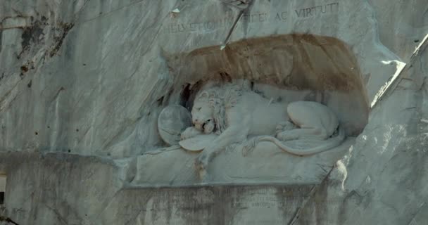 狮子纪念碑Lwendenkmal右边拍摄的室外特写 — 图库视频影像