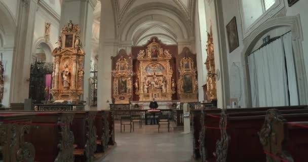 Interior Catedral Hofkirche Corredor Esquerdo — Vídeo de Stock