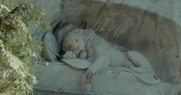 由狮子纪念碑Lwendenkmal左边拍摄的近照 — 图库视频影像