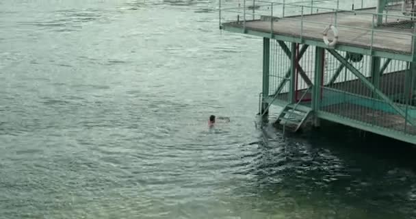 Mann Schwimmt Rhein — Stockvideo