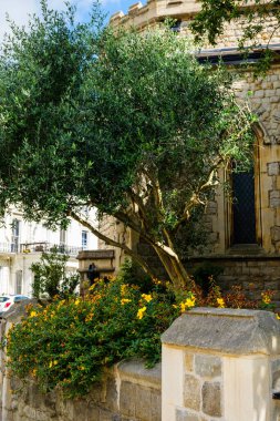 Londra - 07 01 2022 Veduta della aiuola dietro alla St Stephens, Westbourne Park