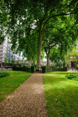 Londra - 07 02 2022: Cambridge Meydanı 'nın özel bahçelerinde patika