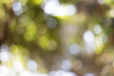 Doğal yeşil arkaplan