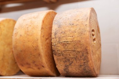 Peynir üretiminde olgunlaşma sırasında peynir depolama, özel peynir üretimi