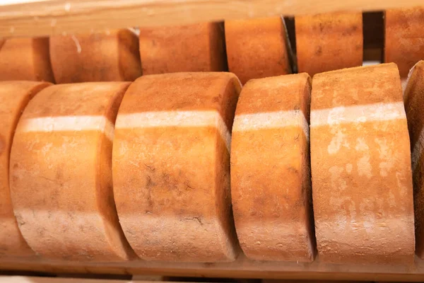 Peynir üretiminde olgunlaşma sırasında peynir depolama, özel peynir üretimi