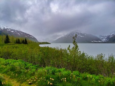Alaska 'daki dağların ve fiyortların görüntüsü