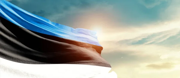 爱沙尼亚国旗在美丽的云彩中飘扬 — 图库照片