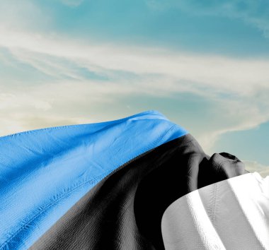 Estonya ulusal bayrağı güzel bulutlarda dalgalanıyor.