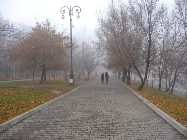 Brouillard Dans Parc Khabarovsk — Photo