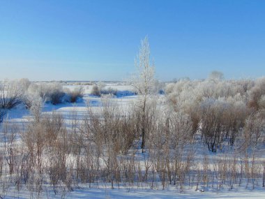 Kuzey Dvina nehrinin taşkın ovasında kış manzarası 