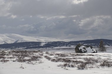 Altaian Manzarası, Sibirya, Rusya
