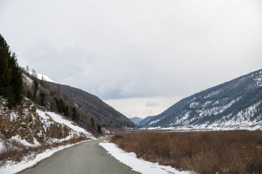 Altaian Manzarası, Sibirya, Rusya