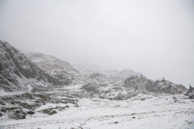 Sibirya görüşü, Altai, Rusya