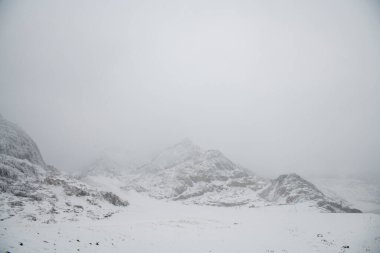 Altaian Manzarası, Sibirya, Rusya