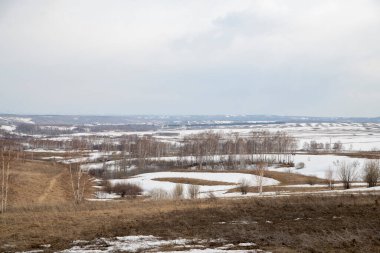 Altaian Manzarası, Sibirya, Rusya