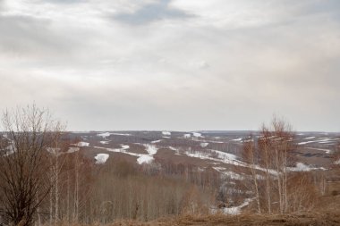 Altaian Manzarası, Sibirya, Rusya
